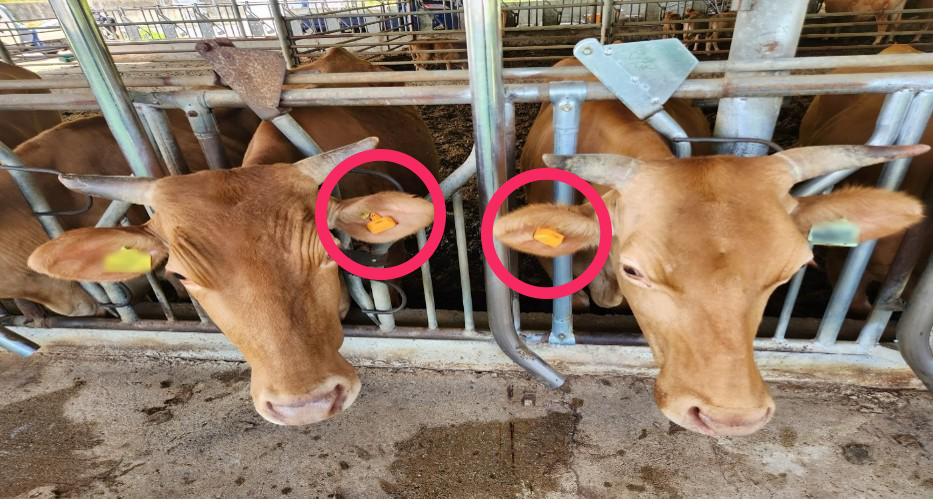 설치 예시 이미지